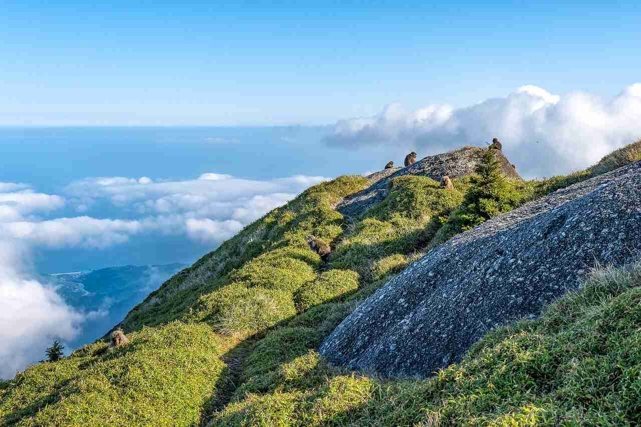 Yakushima